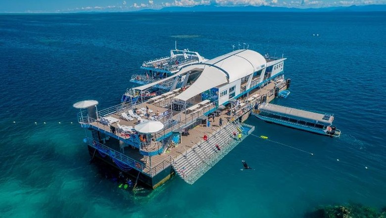 Magic Reef Destinasi Baru di Australia