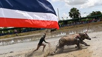 Kompetisi ini merupakan tradisi tahunan yang juga menandai awal musim tanam padi.