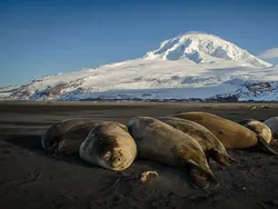 Penampakan Pulau Paling Misterius di Australia