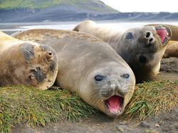 Penampakan Pulau Paling Misterius di Australia