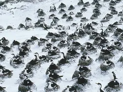 Penampakan Pulau Paling Misterius di Australia