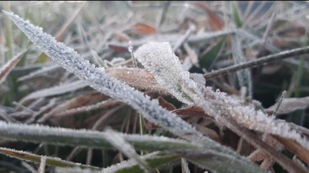 Suhu udara di Dieng pagi ini turun hingga minus 1 derajat Celsius, Kamis (30/6/2022).
