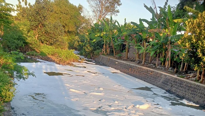 Warga Desa Tulas, Kecamatan Karangdowo, Klaten resah karena Sungai Pleret berbusa dan banyak ikan mati. Foto diunggah pada Kamis (30/6/2022).