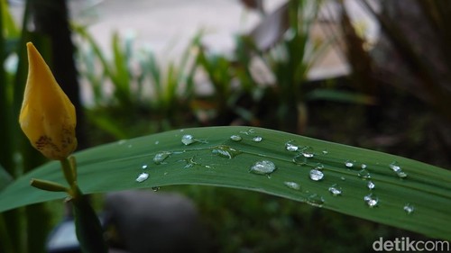 Warga yang bermukim di Cilegon, Banten merasakan cuaca pagi hari lebih dingin dari biasanya dalam 2 hari terakhir. Ini penjelasan BMKG. (M Iqbal/detikcom)
