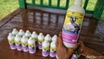 Ada Taman Kelinci Lho di Jakarta, Anak-anak Pasti Suka