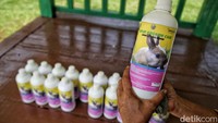 Jenisnya beragam, ada flemish giant yang merupakan kelinci bertubuh besar, rex dengan tampilan bulu cantik dan halus, newzeland white yang identik dengan corak putih bersih, hingga satin yang merupakan jenis kelinci hias dan pedaging.