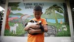 Ada Taman Kelinci Lho di Jakarta, Anak-anak Pasti Suka