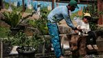 Ada Taman Kelinci Lho di Jakarta, Anak-anak Pasti Suka