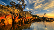3 Rekomendasi Wisata yang Wajib Dikunjungi saat Berlibur ke Tasmania