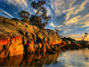 3 Rekomendasi Wisata yang Wajib Dikunjungi saat Berlibur ke Tasmania