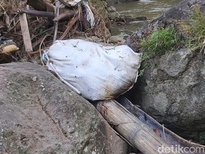 Lagi, Bangkai Kambing Ditemukan di Sungai Semarang