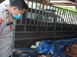 Dalih Pria yang Diduga Hendak Jual Daging Sapi Tak Layak ke Jember