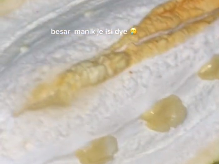 Durian zonk, isinya super kecil