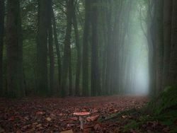 Mencengangkan! Foto Ini Seperti di Negeri Dongeng
