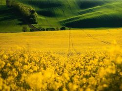 Mencengangkan! Foto Ini Seperti di Negeri Dongeng