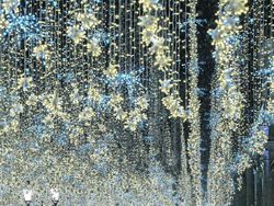 Mencengangkan! Foto Ini Seperti di Negeri Dongeng