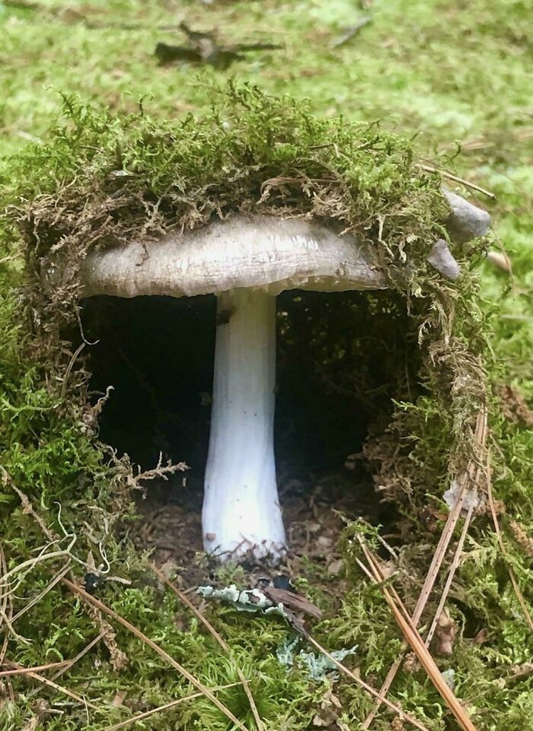 Foto seperti di negeri dongeng