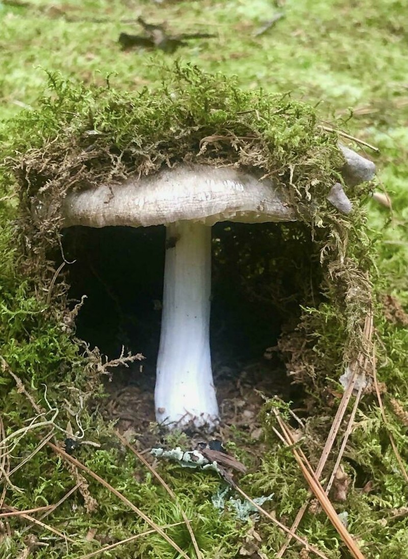 Foto seperti di negeri dongeng