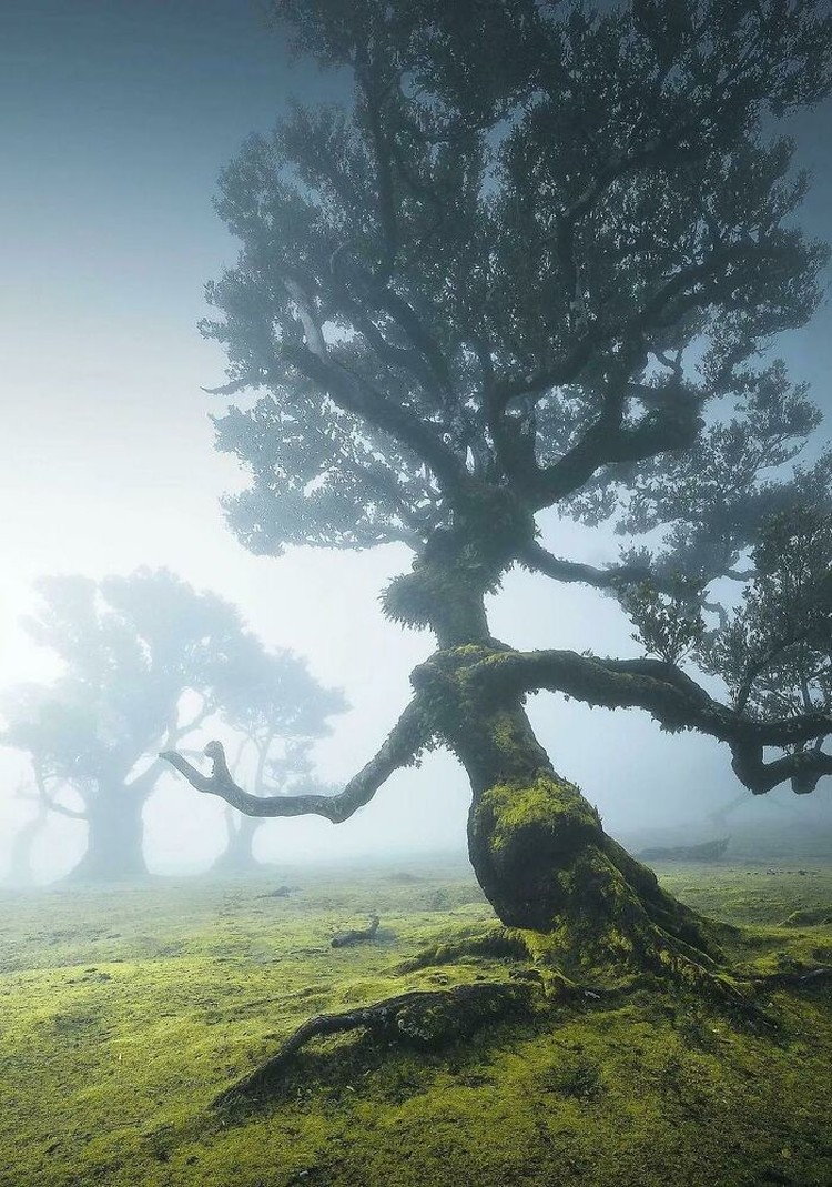 Foto seperti di negeri dongeng