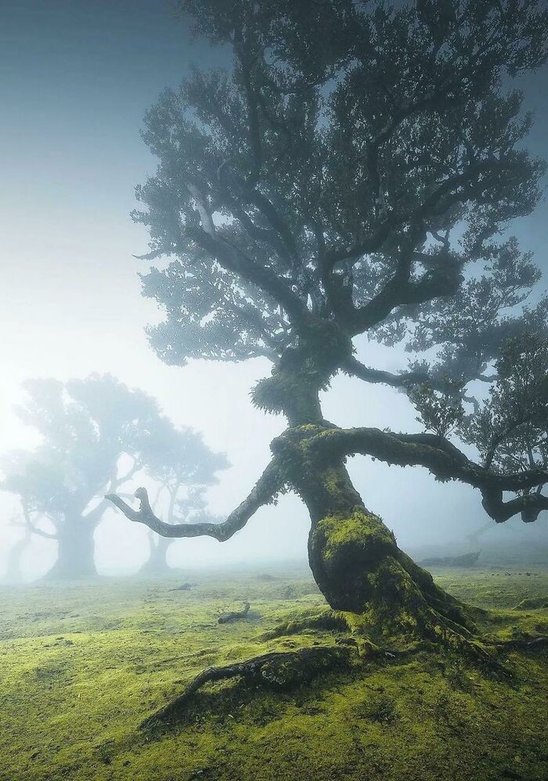 Foto seperti di negeri dongeng