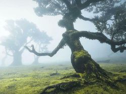 Mencengangkan! Foto Ini Seperti di Negeri Dongeng