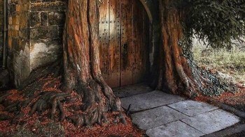Rumah penyihir. Foto: Reddit via Boredpanda