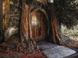 Mencengangkan! Foto Ini Seperti di Negeri Dongeng