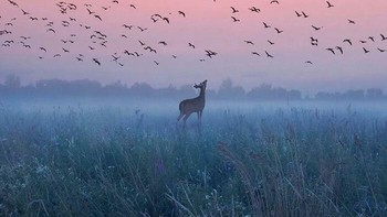 Keren ya... Foto: Reddit via Boredpanda