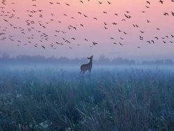 Mencengangkan! Foto Ini Seperti di Negeri Dongeng