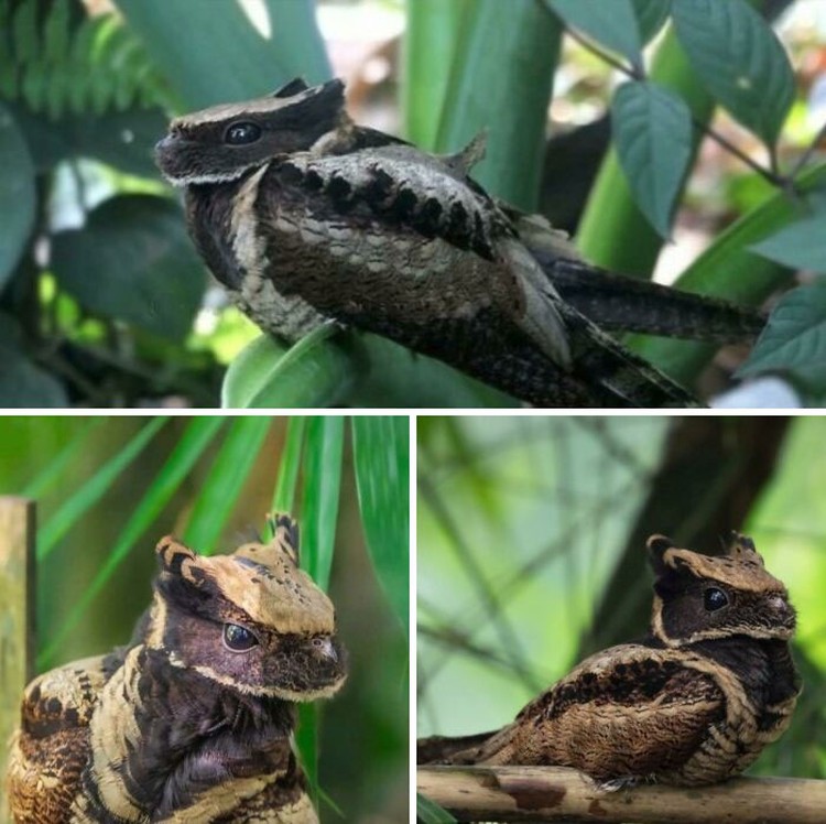 Foto seperti di negeri dongeng
