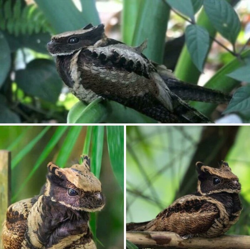 Foto seperti di negeri dongeng