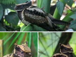 Mencengangkan! Foto Ini Seperti di Negeri Dongeng