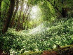 Mencengangkan! Foto Ini Seperti di Negeri Dongeng