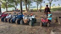 Ada banyak ruang dan tempat wisata yang bisa dimanfaatkan dari Taman Mahoni ini. Kepala Desa Kendal, Rois Purwo Nugroho menyebut, Taman Mahoni ini bisa untuk kegiatan edukasi, peningkatan minat baca, olahraga dan media belajar bagi anak-anak muda. Bahkan, di tempat ini juga sudah ada sekolah alam dan berbagai kegiatan yang bersifat membangun SDM serta sarana untuk olahraga motocross.