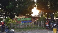 Sesuai namanya, kawasan Taman Mahoni Kendalifornia ini dikelilingi pohon-pohon mahoni yang rimbun dan asri. Suasana semakin indah dan syahdu karena lokasinya berada di pinggir aliran sungai Bengawan Solo. Semilir angin yang sejuk kerap menemani para pengunjung.