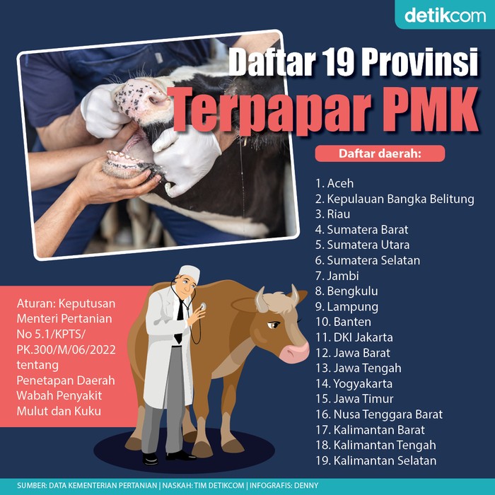 Infografis PMK ternak Infografis PMK ternak