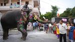 Meriahkan Ritual Rath Yatra, Gajah di India Dilukis Warna-warni
