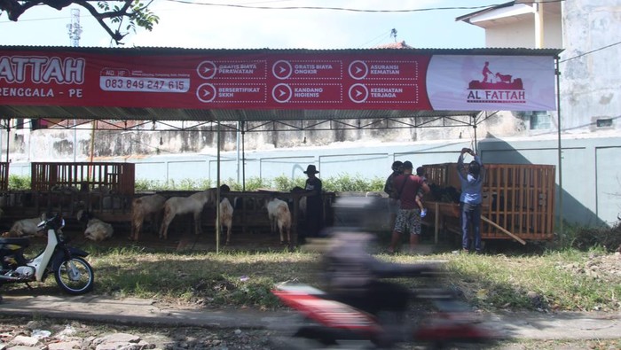 Penjual Hewan Kurban di Malang Beri Asuransi Kematian dan Gratis Ongkir