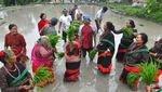 Potret Petani Nepal Asyik Main Lumpur Saat Hari Padi Nasional