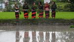 Potret Petani Nepal Asyik Main Lumpur Saat Hari Padi Nasional