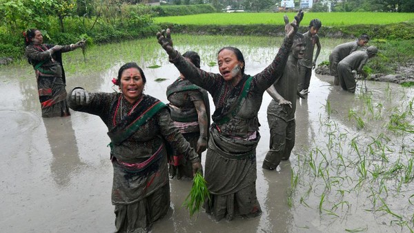Sebelum menanam padi, para petani ini nampak asyik bermain lumpur.
