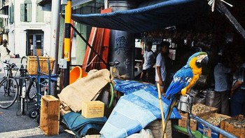Warga masyarakat juga hidup berdampingan dengan damai. Inflasi rendah, membuat Singapura makin melaju. Namun di berbagai sudut kota, suasananya masih sederhana seperti ini. Foto: Vintag.es