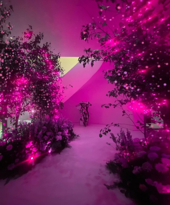 Di kolom komentar kebanyakan netizen memberi ucapan selamat ulang tahun sekaligus memuji penampilannya yang seperti tak menua.Foto: Instagram @verawang