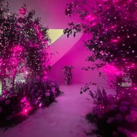 Di kolom komentar kebanyakan netizen memberi ucapan selamat ulang tahun sekaligus memuji penampilannya yang seperti tak menua.Foto: Instagram @verawang