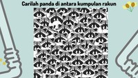 Hayo di mana letak panda berada?