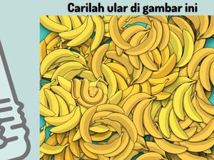 Tebak-tebakan Ini Bisa Bikin Otak Kamu Fresh Lagi, Coba Pecahkan!