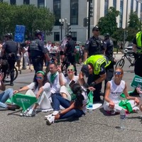 Momen penangkapannya sempat terabadikan dalam sebuah video yang diunggah akun Twitter Vice News. Busy Philipps tampak mengenakan pakaian serba putih dengan kaus yang bertulisan I Will Aid and Abet Abortion atau Saya akan mendukung dan menyutujui aborsi. (Foto: Instagram/@busyphilipps)