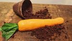 Bentuk Wortel hingga Cacing, Ini 10 Dessert Unik yang Menipu Mata