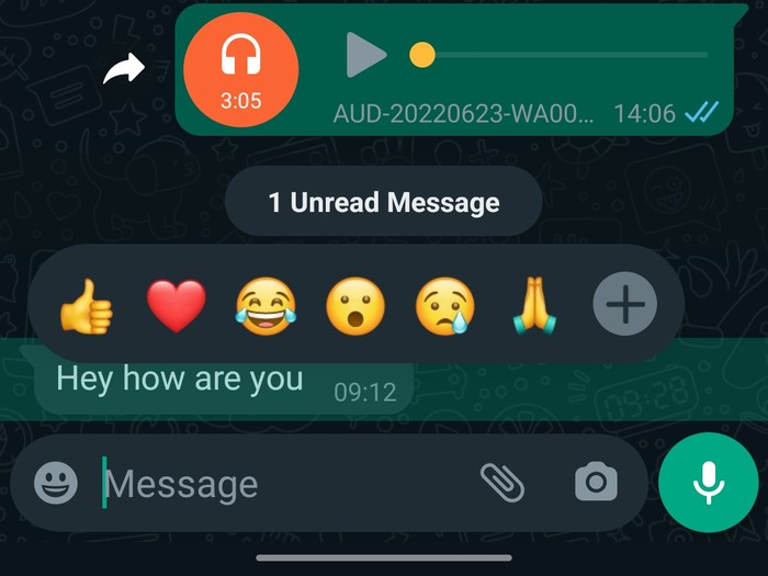 Tampilan fitur emoji reactions versi baru di WhatsApp