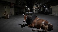 Jubir BJP itu sempat memicu kontroversi karena melontarkan komentar yang dianggap menghina Nabi Muhammad. Sejak saat itu, India terus bergolak hingga akhirnya kasus pemenggalan ini terjadi.  